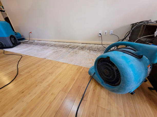 Professional Basement Flood Cleanup technician working in South Sutton, NH